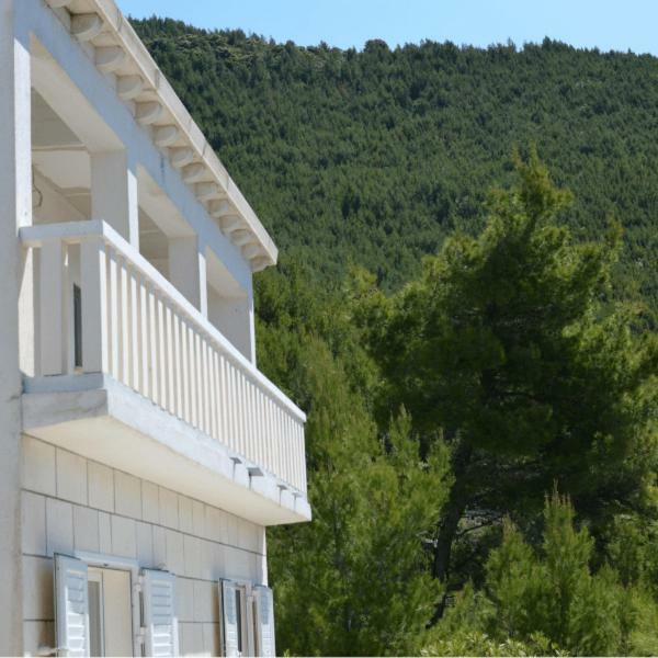 Villa Victor Babino Polje ภายนอก รูปภาพ